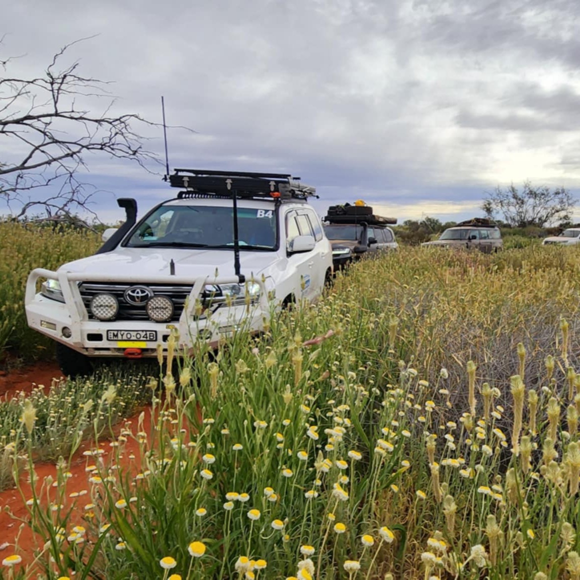 simpson-desert-safari-14-days